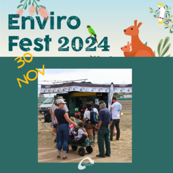 Envirofest